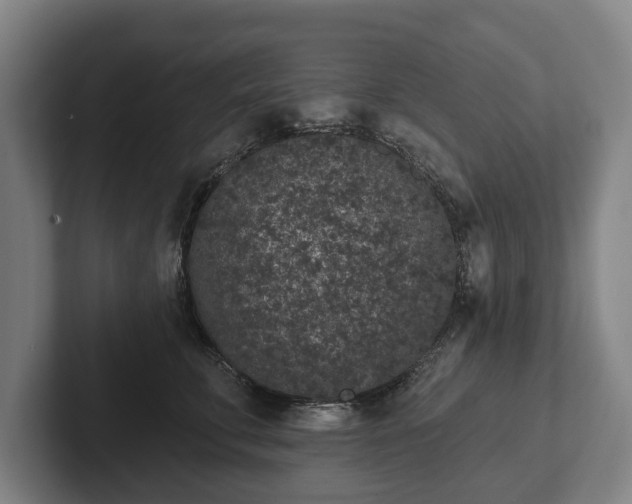 X0000102400711200808081304