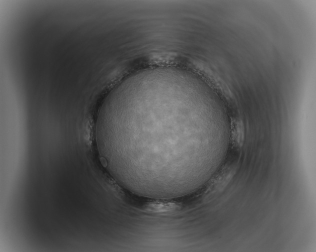 X0000102400712200808081304