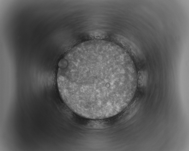 X0000102400713200808081304