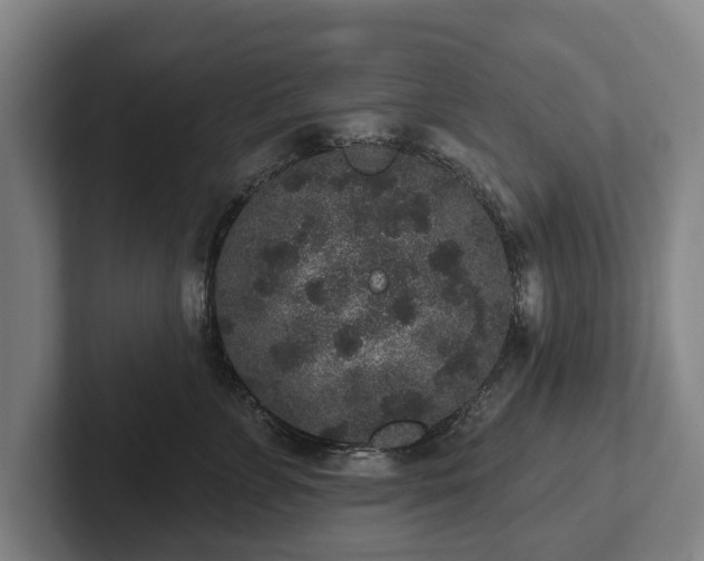 X0000102400715200808081304