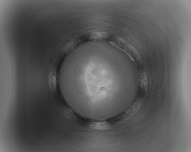 X0000102400716200808081304