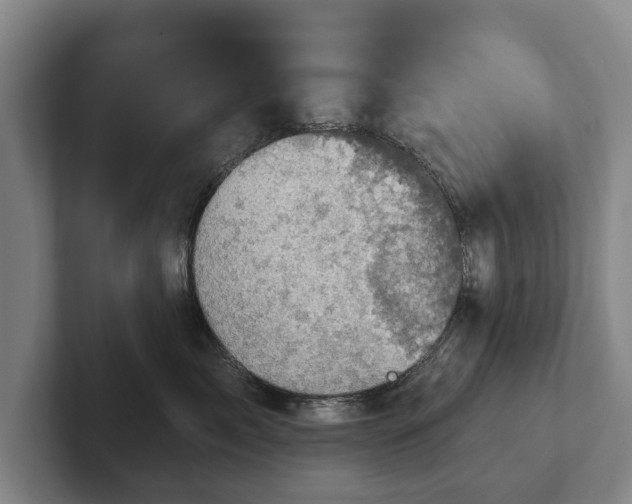 X0000102400717200808081304