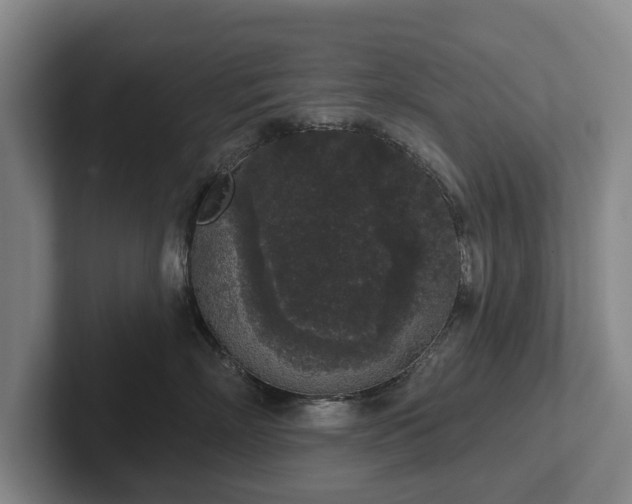 X0000102400718200808081304