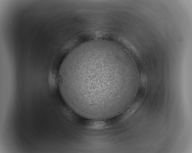 X0000102400719200808081304