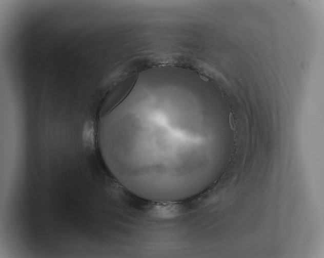 X0000102400720200808081304