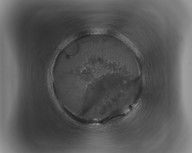 X0000102400721200808081304