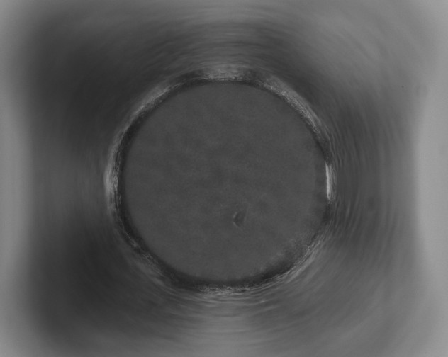 X0000102400723200808081304