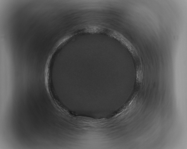 X0000102400724200808081304