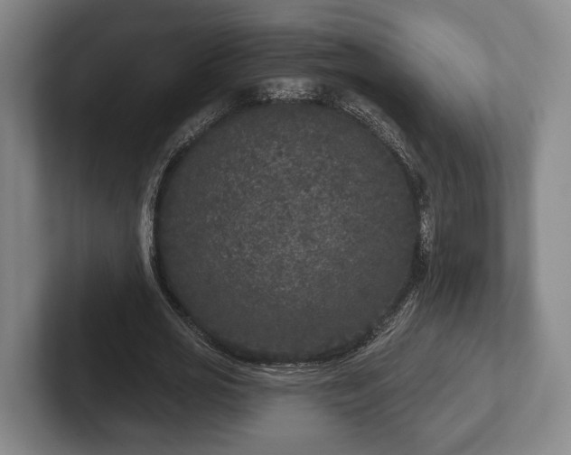 X0000102400725200808081304