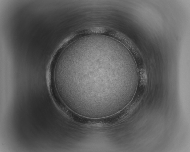 X0000102400726200808081304