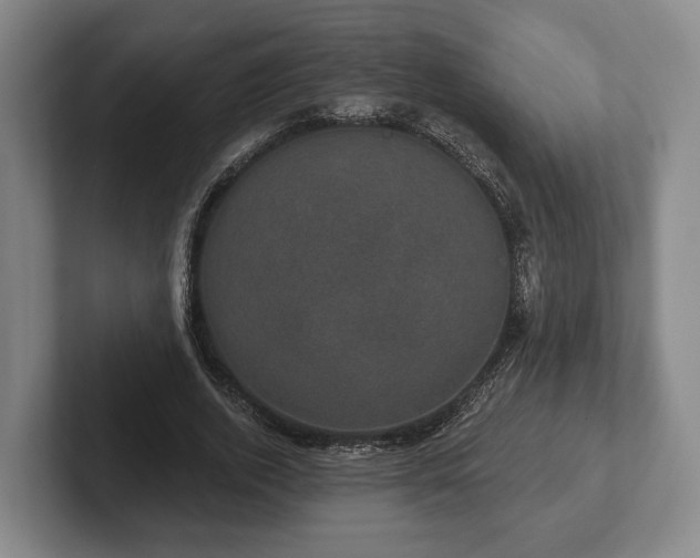 X0000102400728200808081304