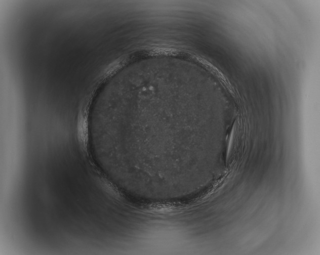 X0000102400729200808081304