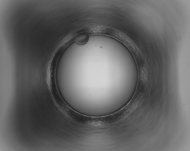 X0000102400730200808081304