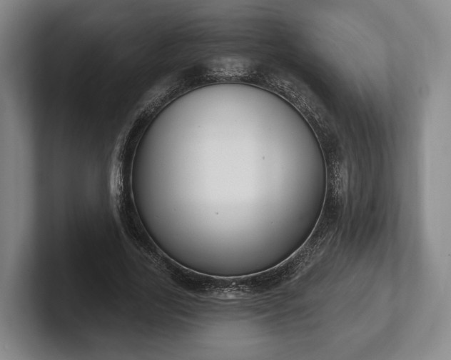 X0000102400731200808081304