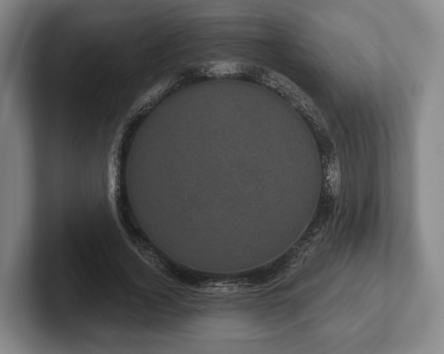 X0000102400732200808081304