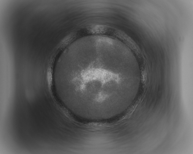 X0000102400733200808081304