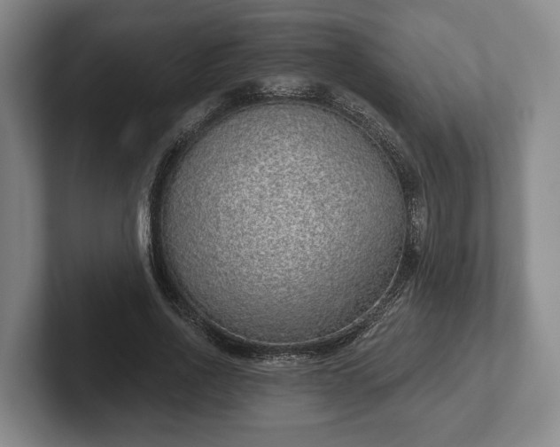 X0000102400734200808081304