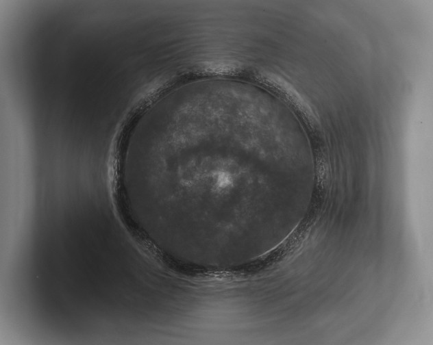 X0000102400736200808081304