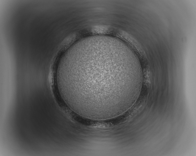 X0000102400738200808081304