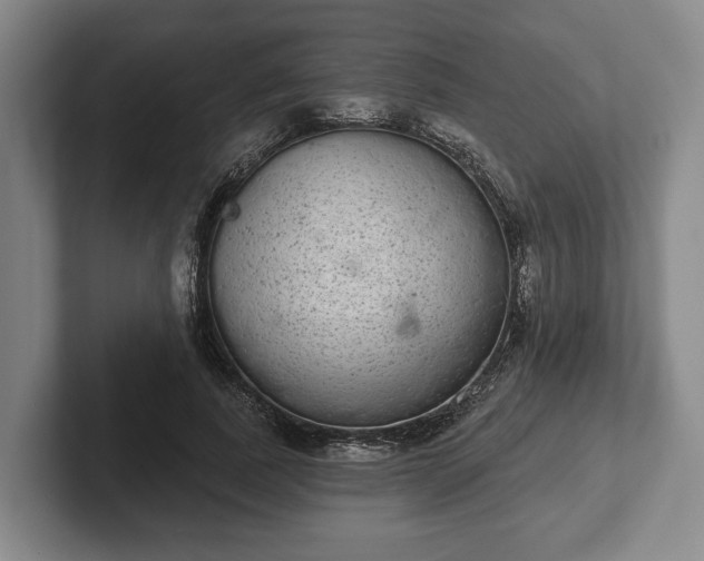 X0000102400739200808081304