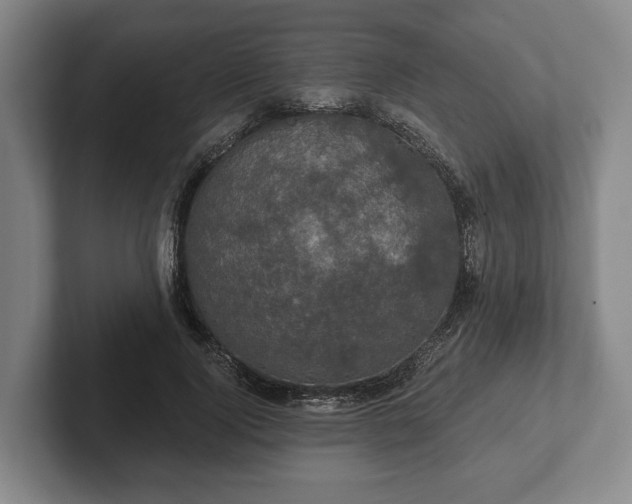 X0000102400740200808081304