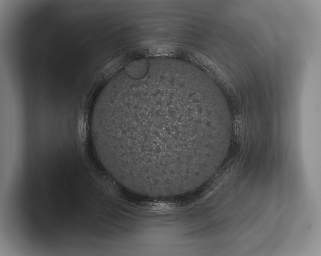 X0000102400741200808081304