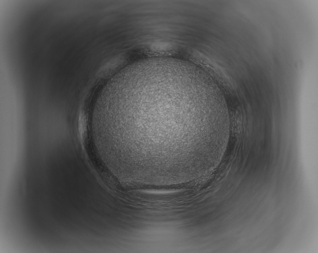 X0000102400742200808081304