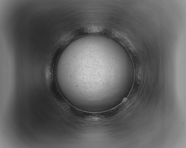 X0000102400743200808081304