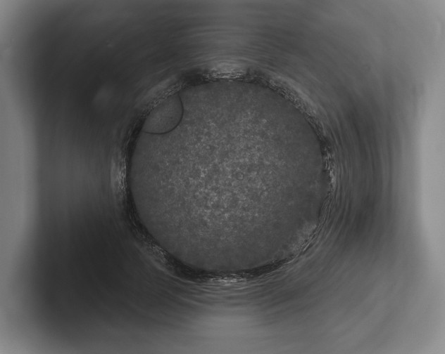 X0000102400745200808081304