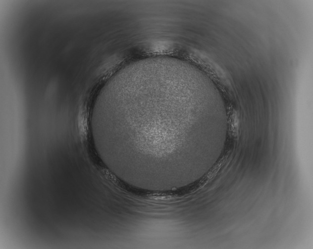 X0000102400746200808081304