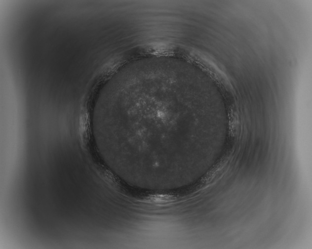 X0000102400748200808081304