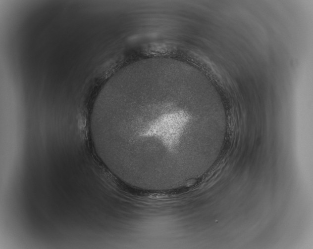 X0000102400749200808081304