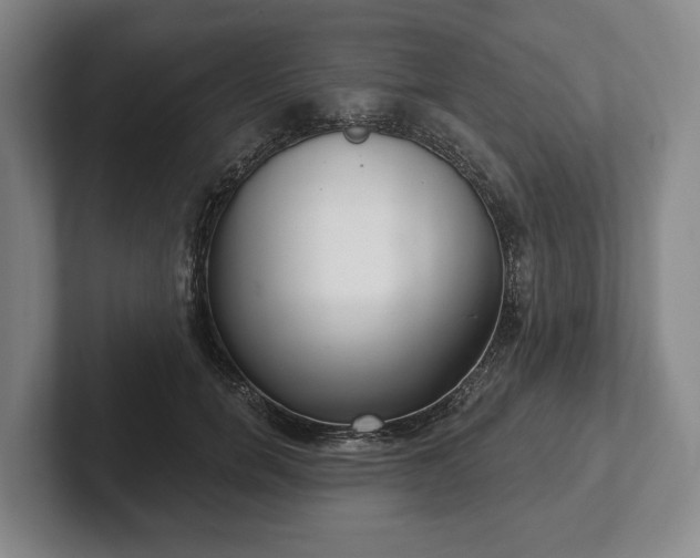 X0000102400750200808081304