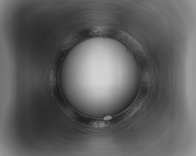 X0000102400751200808081304