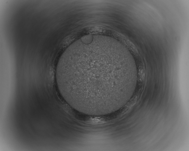 X0000102400753200808081304