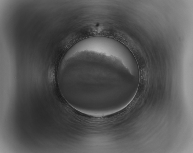 X0000102400754200808081304