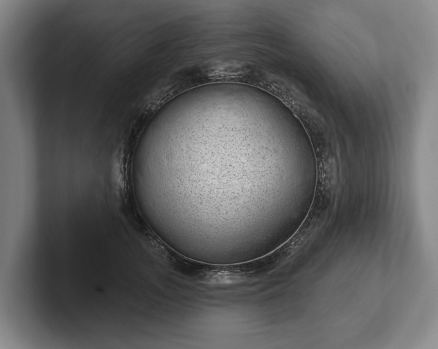 X0000102400755200808081304