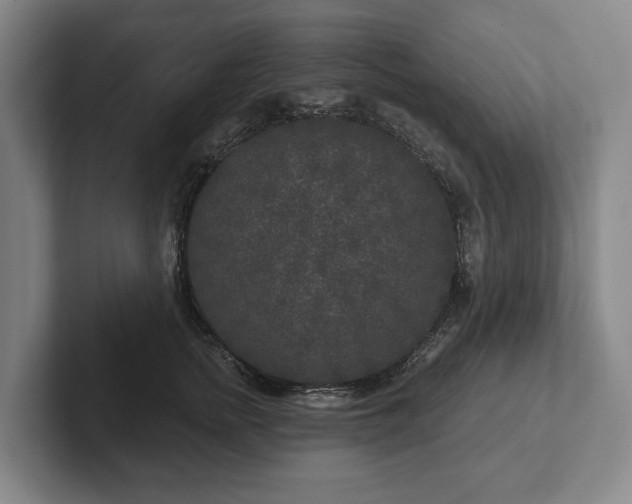 X0000102400758200808081304