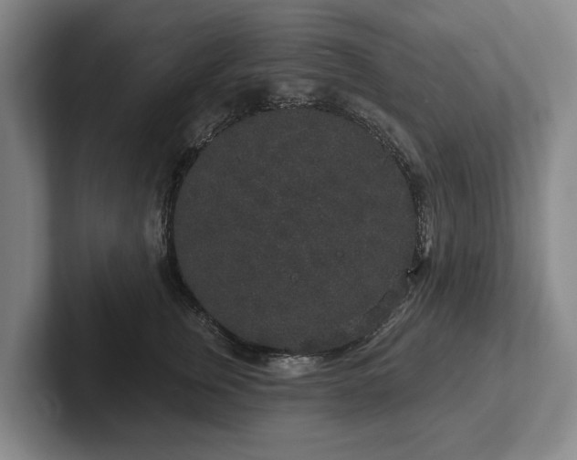 X0000102400759200808081304