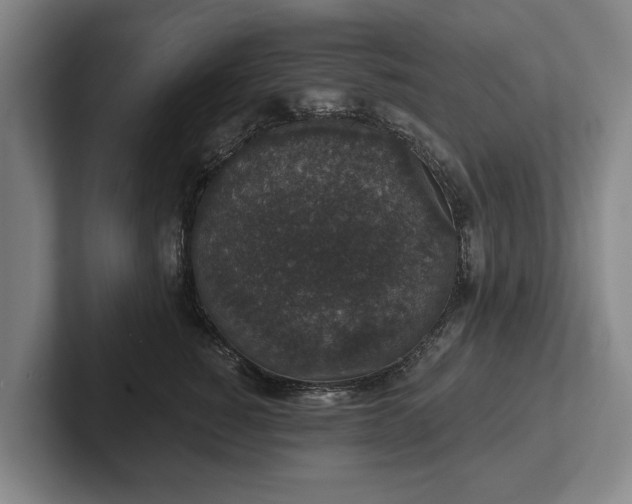 X0000102400760200808081304