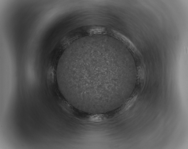 X0000102400761200808081304