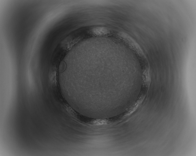 X0000102400762200808081304