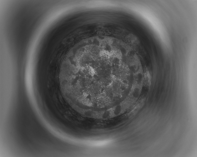 X0000102400765200808081304