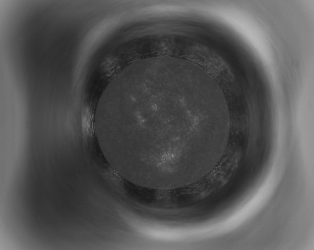 X0000102400766200808081304