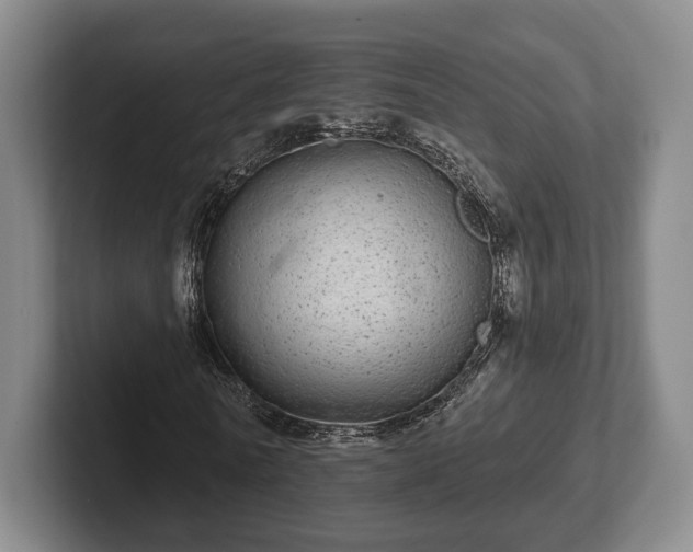 X0000102400770200808081304