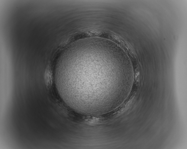 X0000102400772200808081304