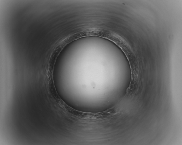 X0000102400773200808081304