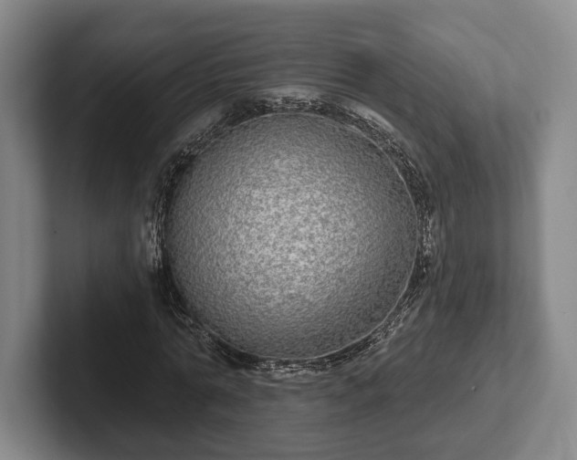 X0000102400774200808081304