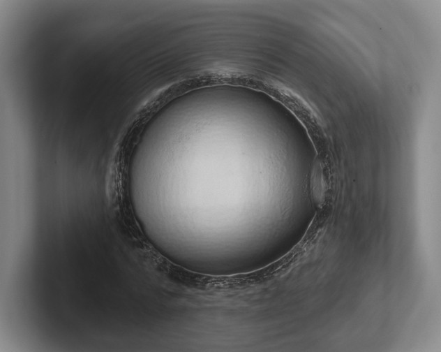 X0000102400776200808081304