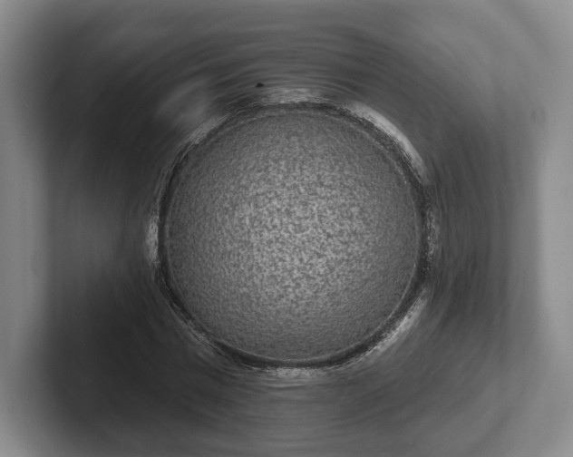 X0000102400777200808081304